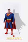 S-HERO 1/6 SH004 SUPER HERO