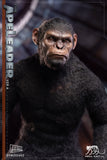 HELLCAT 1/6 DYM202402A APE LEADER