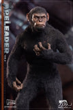 HELLCAT 1/6 DYM202402A APE LEADER