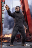 HELLCAT 1/6 DYM202402A APE LEADER