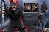 HELLCAT 1/6 DYM202402A APE LEADER