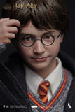 INART 1/6  - HARRY POTTER PREMIUM (ROOTED HAIR)