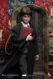 INART 1/6  - HARRY POTTER PREMIUM (ROOTED HAIR)