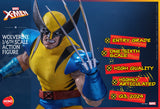 FIRST BATCH - HOT TOYS 1/6 HS01 X-MEN WOLVERINE