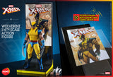 FIRST BATCH - HOT TOYS 1/6 HS01 X-MEN WOLVERINE