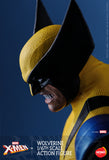 FIRST BATCH - HOT TOYS 1/6 HS01 X-MEN WOLVERINE