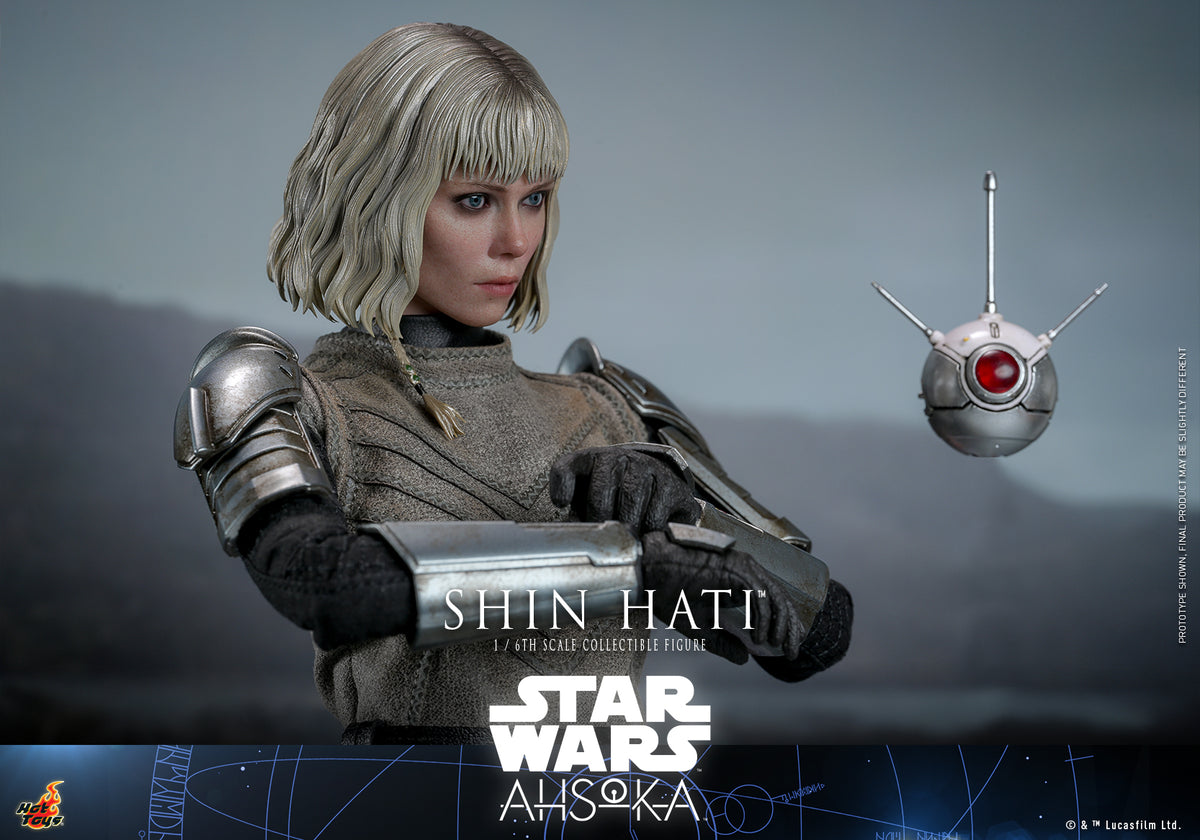 HOT TOYS 1/6 TMS124 SHIN HATI – One Man's Hobby