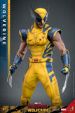 FIRST BATCH - HOT TOYS 1/6 MMS754 X-MEN DEADPOOL AND WOLVERINE - DELUXE VERSION