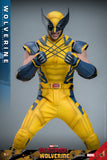 FIRST BATCH - HOT TOYS 1/6 MMS753 X-MEN DEADPOOL AND WOLVERINE - REGULAR VERSION