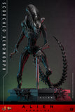 HOT TOYS 1/6 MMS784 SCORCHED XENOMORPH
