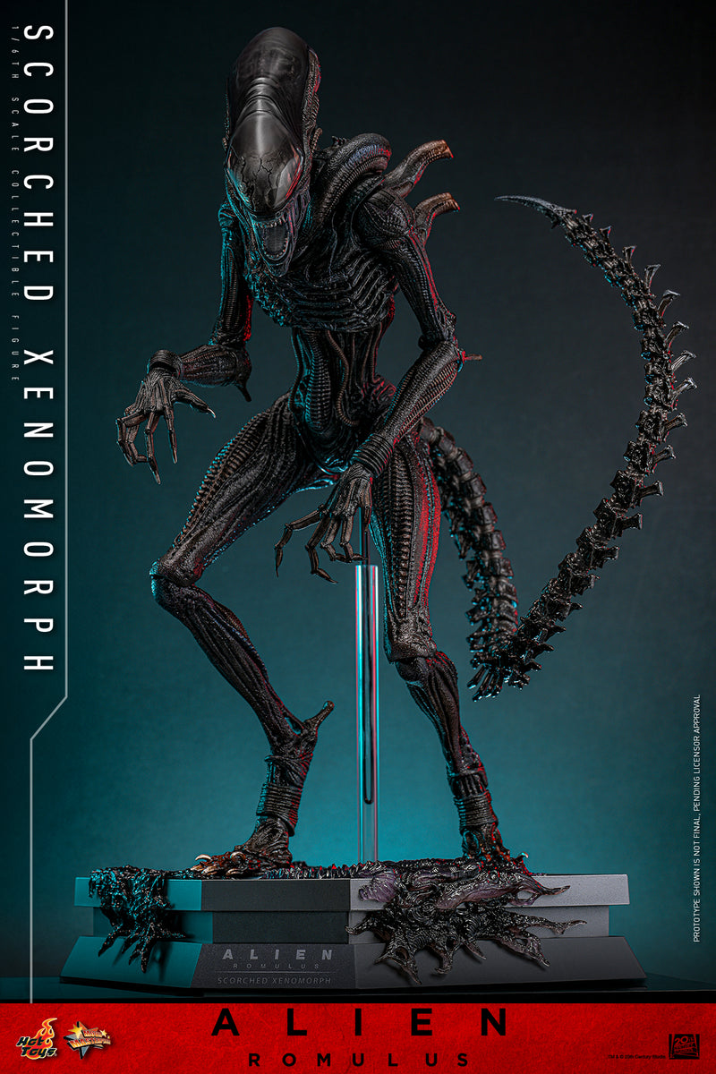 HOT TOYS 1/6 MMS784 SCORCHED XENOMORPH – One Man's Hobby