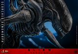 HOT TOYS 1/6 MMS784 SCORCHED XENOMORPH
