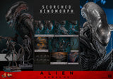 HOT TOYS 1/6 MMS784 SCORCHED XENOMORPH