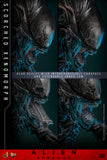 HOT TOYS 1/6 MMS784 SCORCHED XENOMORPH