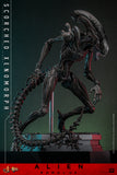HOT TOYS 1/6 MMS784 SCORCHED XENOMORPH