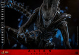 HOT TOYS 1/6 MMS784 SCORCHED XENOMORPH