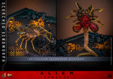 HOT TOYS 1/6 MMS784 SCORCHED XENOMORPH