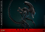HOT TOYS 1/6 MMS784 SCORCHED XENOMORPH