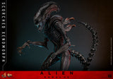HOT TOYS 1/6 MMS784 SCORCHED XENOMORPH