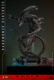 HOT TOYS 1/6 MMS784 SCORCHED XENOMORPH