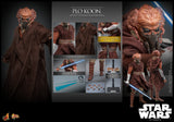FIRST BATCH - HOT TOYS 1/6 PLO KOON