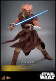 FIRST BATCH - HOT TOYS 1/6 PLO KOON