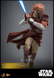 FIRST BATCH - HOT TOYS 1/6 PLO KOON