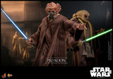FIRST BATCH - HOT TOYS 1/6 PLO KOON