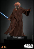 FIRST BATCH - HOT TOYS 1/6 PLO KOON