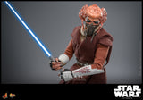 FIRST BATCH - HOT TOYS 1/6 PLO KOON
