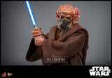 FIRST BATCH - HOT TOYS 1/6 PLO KOON