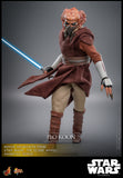 FIRST BATCH - HOT TOYS 1/6 PLO KOON