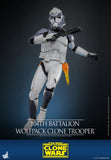 HOT TOYS 1/6 TMS142 104TH BATTALION WOLFPACK CLONE TROOPER