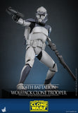 HOT TOYS 1/6 TMS142 104TH BATTALION WOLFPACK CLONE TROOPER