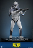 HOT TOYS 1/6 TMS142 104TH BATTALION WOLFPACK CLONE TROOPER