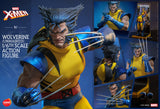 HONO STUDIO 1/6 HS06 X-MEN WOLVERINE UNMASKED