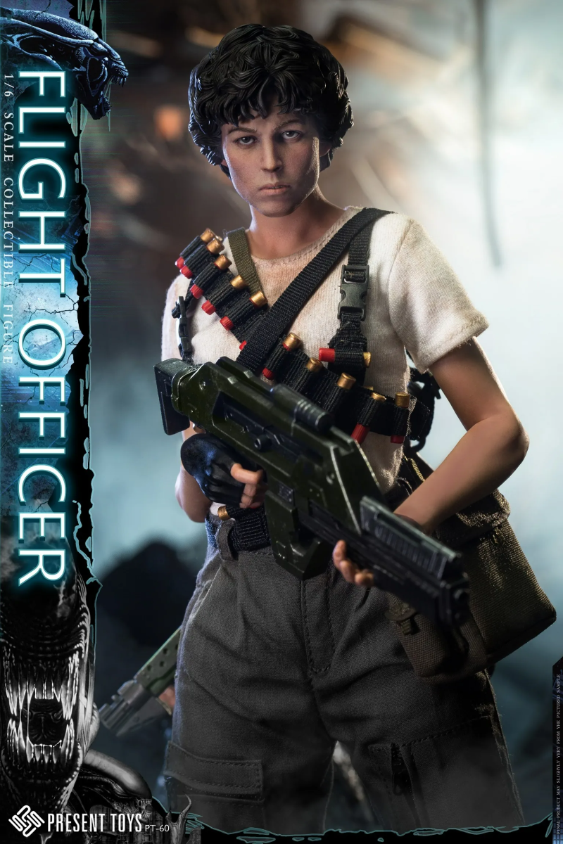 PRESENT TOYS 1/6 SP60 FLIGHT OFFICER One Man's Hobby