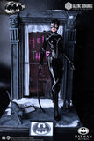 JAZZINC 1/6 CATWOMAN TWO PACK DX