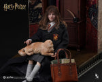 INART 1/6  - HARRY POTTER HERMIONE GRANGER