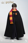 INART 1/6 - HARRY POTTER STANDARD