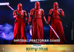 HOT TOYS 1/6 TMS108 IMPERIAL PRAETORIAN GUARD