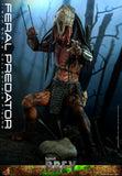 HOT TOYS 1/6 TMS114 FERAL PREDATOR