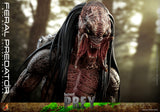 HOT TOYS 1/6 TMS114 FERAL PREDATOR