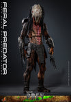 HOT TOYS 1/6 TMS114 FERAL PREDATOR