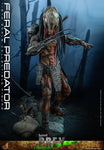 HOT TOYS 1/6 TMS114 FERAL PREDATOR