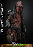 HOT TOYS 1/6 TMS114 FERAL PREDATOR