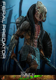 HOT TOYS 1/6 TMS114 FERAL PREDATOR