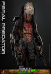 HOT TOYS 1/6 TMS114 FERAL PREDATOR