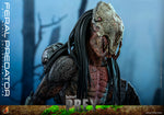 HOT TOYS 1/6 TMS114 FERAL PREDATOR