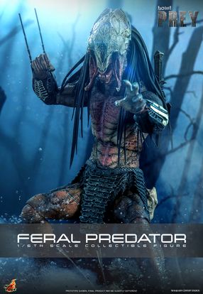 HOT TOYS 1/6 TMS114 FERAL PREDATOR